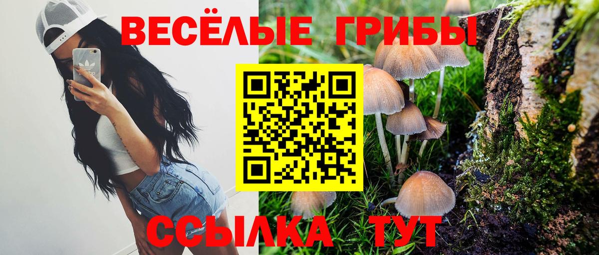 Псилоцибиновые грибы прущие грибы Ульяновск