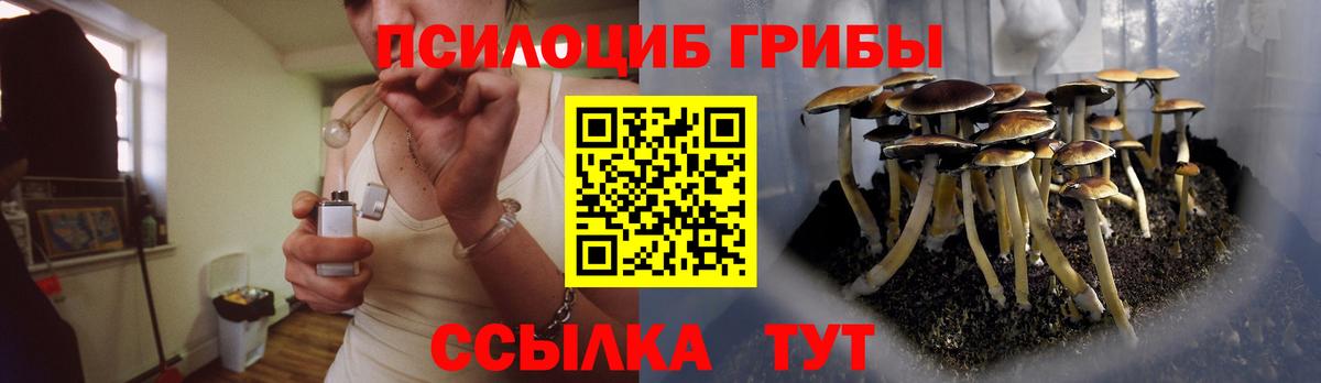 Псилоцибиновые грибы Magic Shrooms  Псилоцибиновые грибы Psilocybine cubensis  Ульяновск  где продают наркотики  Вход с VPN 